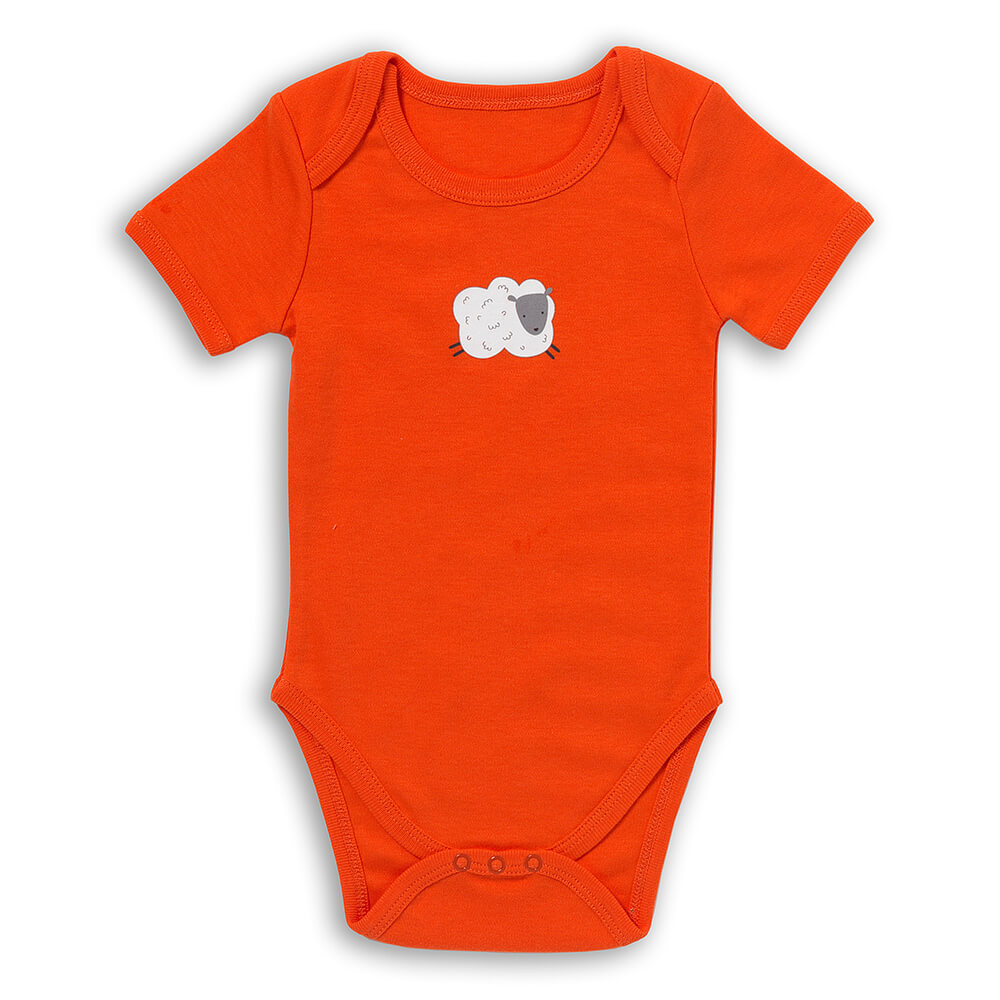 Bio Baby-Bodys kurzarm 5er-Pack