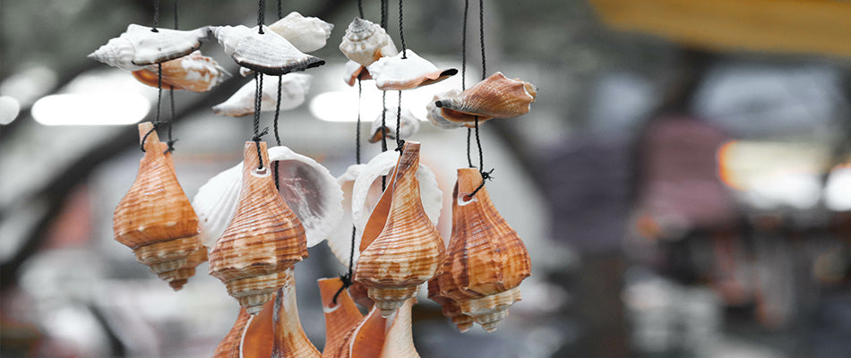 Mehrere Muscheln hängen an schwarzen Fäden