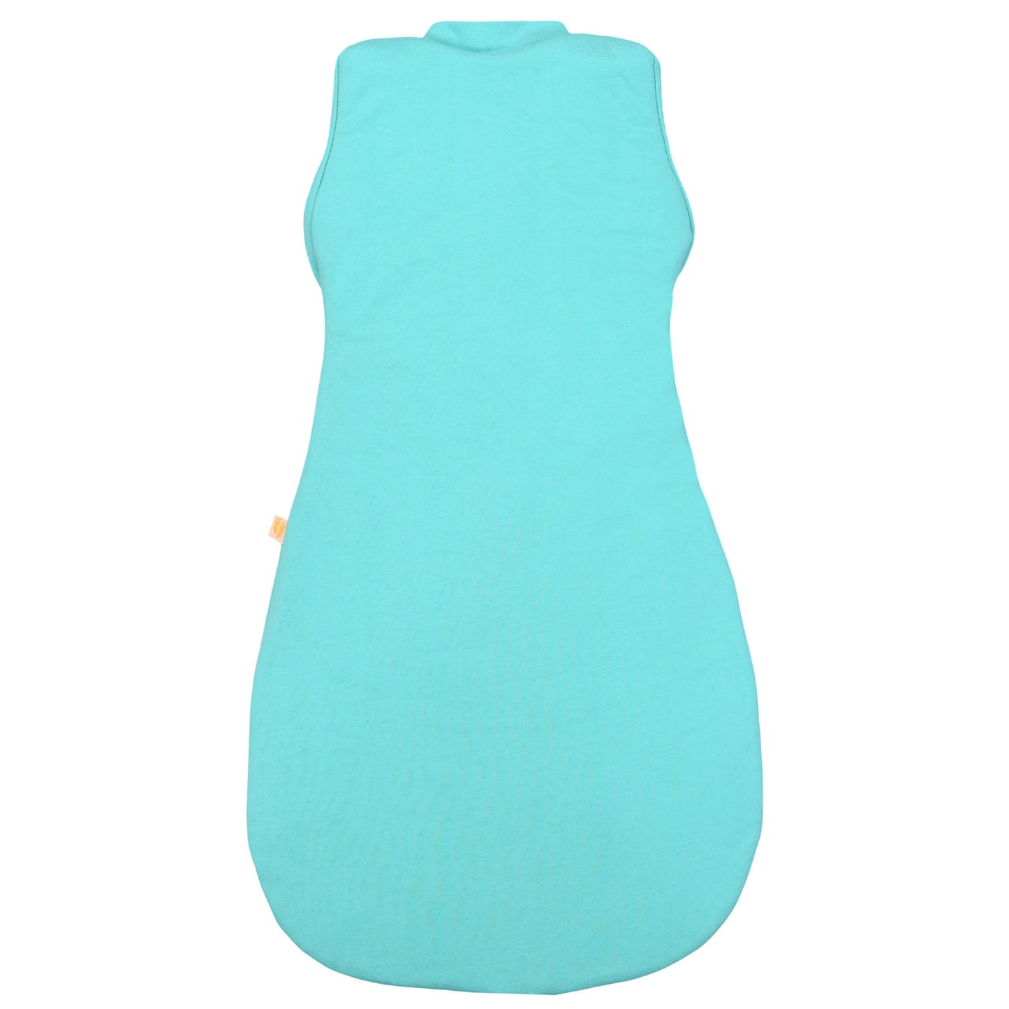 Pucksack 1.0 TOG_Aqua_Rückseite_1198