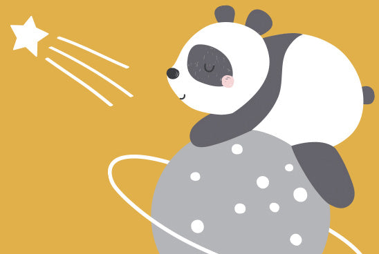 Paul der Panda und die Reise zu den Sternen